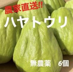 無農薬　ハヤトウリ　10キロ　30個程度 無農薬 ハヤトウリ 10キロ 30個程度