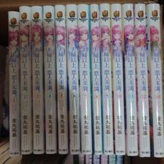 【レンタル落ち】 夫婦以上、恋人未満。 1〜11巻 非全巻 漫画 / マンガ