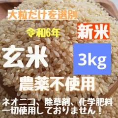 鹿児島県産 くず米 29kg✕5袋 kuzu03_800x800.jpg