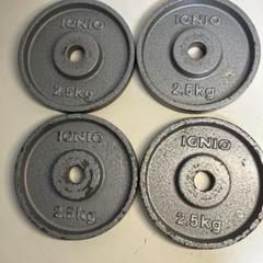 ラバープレート IGNIO 10キロ２枚 20キロ イグニオ 10kg 20kg ラバープレート IGNIO 10キロ2枚 合計20キロ - メルカリ