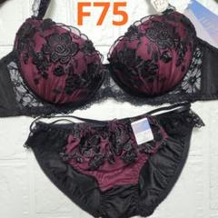 【新品未使用】格安！ブラショーツセット F75 944101 黒×ワインレッド