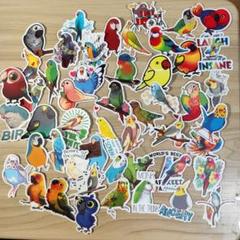 鳥のカラフルなフレークシール