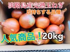 あま〜くて美味しい淡路島産完熟玉ねぎ少し訳あり品20kg あま〜くて美味しい淡路島産完熟玉ねぎ少し訳あり品20kg - メルカリ
