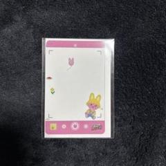 Stray Kids アクスタケース２個 DWAEKKI / HANQUOKKA ACRYLIC STAND CASE - HAN QUOKKA / Stray Kids『Stray Kids