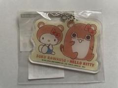 2025年最新】ボクカワウソの人気アイテム - メルカリ