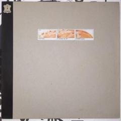 中古 beefcake - in medias res.12" hymen