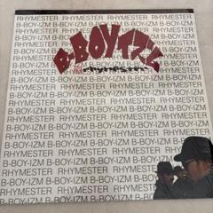 2025年最新】rhymester レコードの人気アイテム - メルカリ