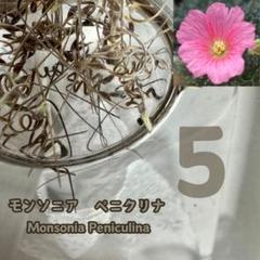 2025年最新】サルコカウロン ペニクリナムの人気アイテム - メルカリ