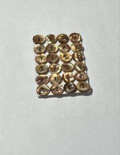 フランスアンティーク　貝ボタンシート