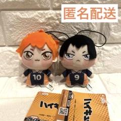 ハイキュー　ちょぴぬい　新品未使用タグ付き　3人SET 41JQUUV9EEL._UF350,350_QL50_.jpg