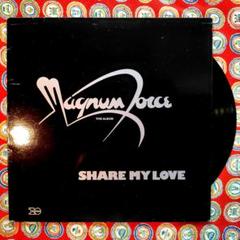 MAGNUM FORCE ☆ LPレコード R&B レアグルーヴ　フリーソウル MAGNUM FORCE ☆ LPレコード R&B レアグルーヴ フリーソウル