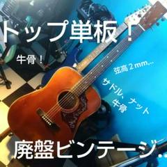 zen-onアコースティックギター！ハミングバード…値下げ！ zen-onアコースティックギター！ハミングバード…値下げ！