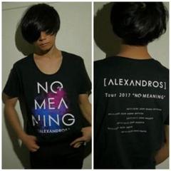 ALEXANDROS] NO MEANING Tシャツ Lサイズ Uネック - メルカリ