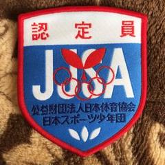 スポーツ少年団 認定員証 バッジ