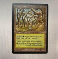 MTG ガイアの揺籃の地 裏切り者の都 不毛の大地 古の墳墓
