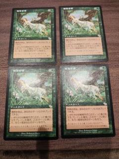 2025年最新】種蒔き mtgの人気アイテム - メルカリ