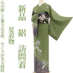夏着物 正絹 絽“夏の夜に現る！シックなオーロラ☆”小紋 W-28