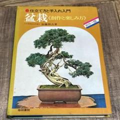 盆栽　仕立て方と手入れ入門　加藤照吉　著　初版　盆栽　五葉松　石付きの作り方
