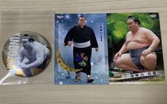 大相撲　金峰山　関取全員集合缶バッジ（7月名古屋場所）　ガチャ　和カード付き