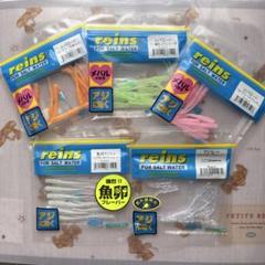 レインズ　アジング　ワーム　27個セット レイン(reins) アジアダー Z02 ピリ唐きゅうり(谷山オリカラ