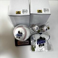 新品 TUBE 甲子園100周年記念グッズ ボール、キーホルダー、キーチェーン 新品 TUBE 甲子園100周年記念グッズ ボール、キーホルダー、キー