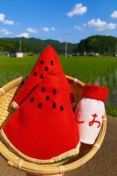 スイカに塩
