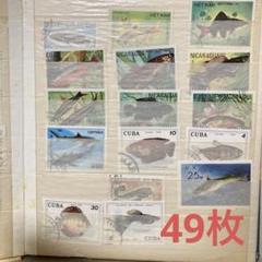 3543 外国切手 ミクロネシア 1995年 魚類 4種完 外国使用済み切手 魚類切手コレクション 魚熱帯魚 - メルカリ
