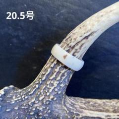 。　鹿の角　16本セット　北海道産　ハンドメイド　アクセサリー 無添加品】鹿の角 枝先10cm前後を200gセット☆ アクセサリー用