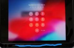 【最終!!】 iPad mini Wi-Fi 第5世代 256G