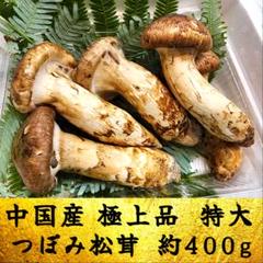 2025年最新】北海道 松茸の人気アイテム - メルカリ