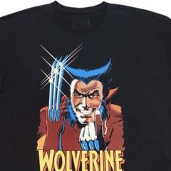 00s MARVEL DISNEYLAND Warner Brothersのサムネイル