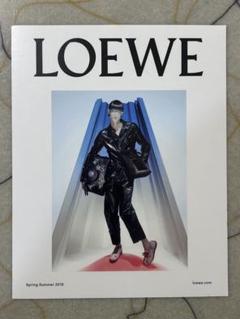 ◎希少 LOEWE ロエベ 大判ポストカード フォトカード 16㎝×20㎝のサムネイル