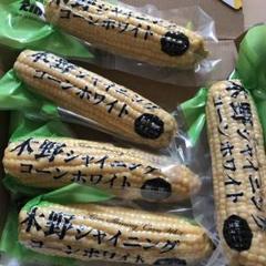 北海道限定♡♡甘いとうもろこし③ じゃがいもバタバタ④ とうもろこしはラスト♥️