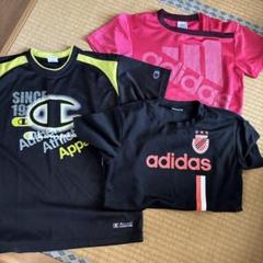 Champion & adidas Tシャツ 3枚セット
