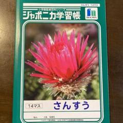 学習帳 1 マスの中古 未使用品を探そう メルカリ
