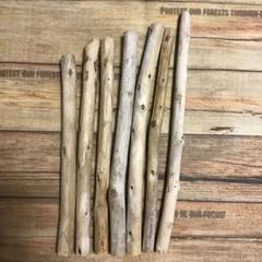 ツルツル流木 ⑧ 7本セット