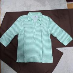 【LACOSTE】 緑と白ストライプ ポロシャツ 38　Mサイズ　日本製
