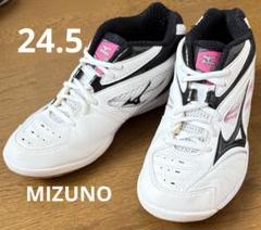 MIZUNO ミズノ　バドミントン　テニス　インドア　スポーツシューズ　24.5