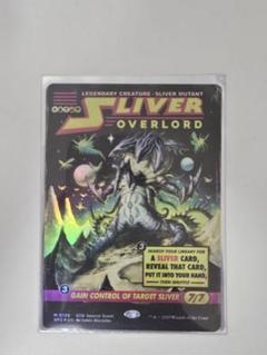 MTG　スリヴァーの首領　英語1枚　ゆうゆうメルカリ便発送 MTG Ryu, World Warrior Foil - メルカリ
