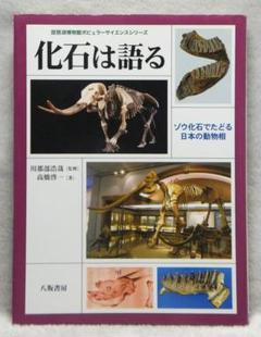 化石は語る: ゾウ化石でたどる日本の動物相 【即購入OK】