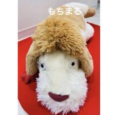 新品タグ付き】ジブリパーク購入 ハウルの動く城 ヒン