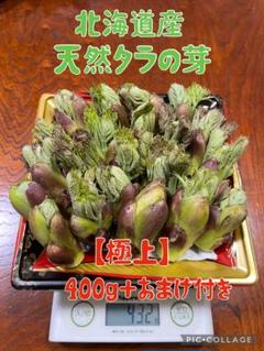 2025年最新】タラの芽 北海道の人気アイテム - メルカリ