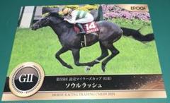 ソウルラッシュ デムーロ　世界限定 ホースレーシングカード 競馬　専用台座付　馬 2025年最新】ソウルラッシュ 馬の人気アイテム - メルカリ