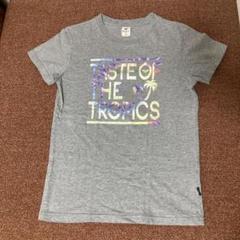 ROXY グレー Tシャツ Mサイズ TASTE OF THE TROPICS