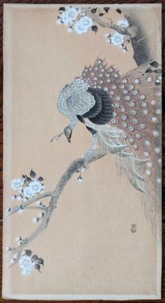 小原古邨「桜に孔雀」本物木版画 小原古邨「桜に孔雀」本物木版画 - メルカリ