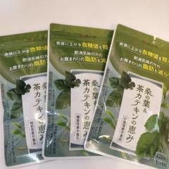 和漢の森 桑の葉&茶カテキンの恵み　3袋 和漢の森 桑の葉&茶カテキンの恵み 120粒入り 3袋 - メルカリ