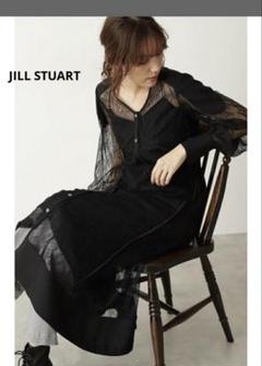 JILL STUART ホールレースワンピース ドレス　　シアー　チュール　黒S JILL STUART ホールレースワンピース ドレス シアー チュール 黒S