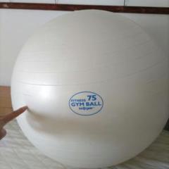 sa gear 75 GYM BALL ホワイト　バランスボール