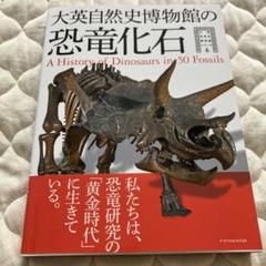 2025年最新】大英博物館 恐竜の人気アイテム - メルカリ