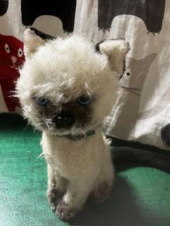 貴重　和製アンティーク　三栄　サンエー　シャム猫　昭和レトロ　ぬいぐるみ　ねこ